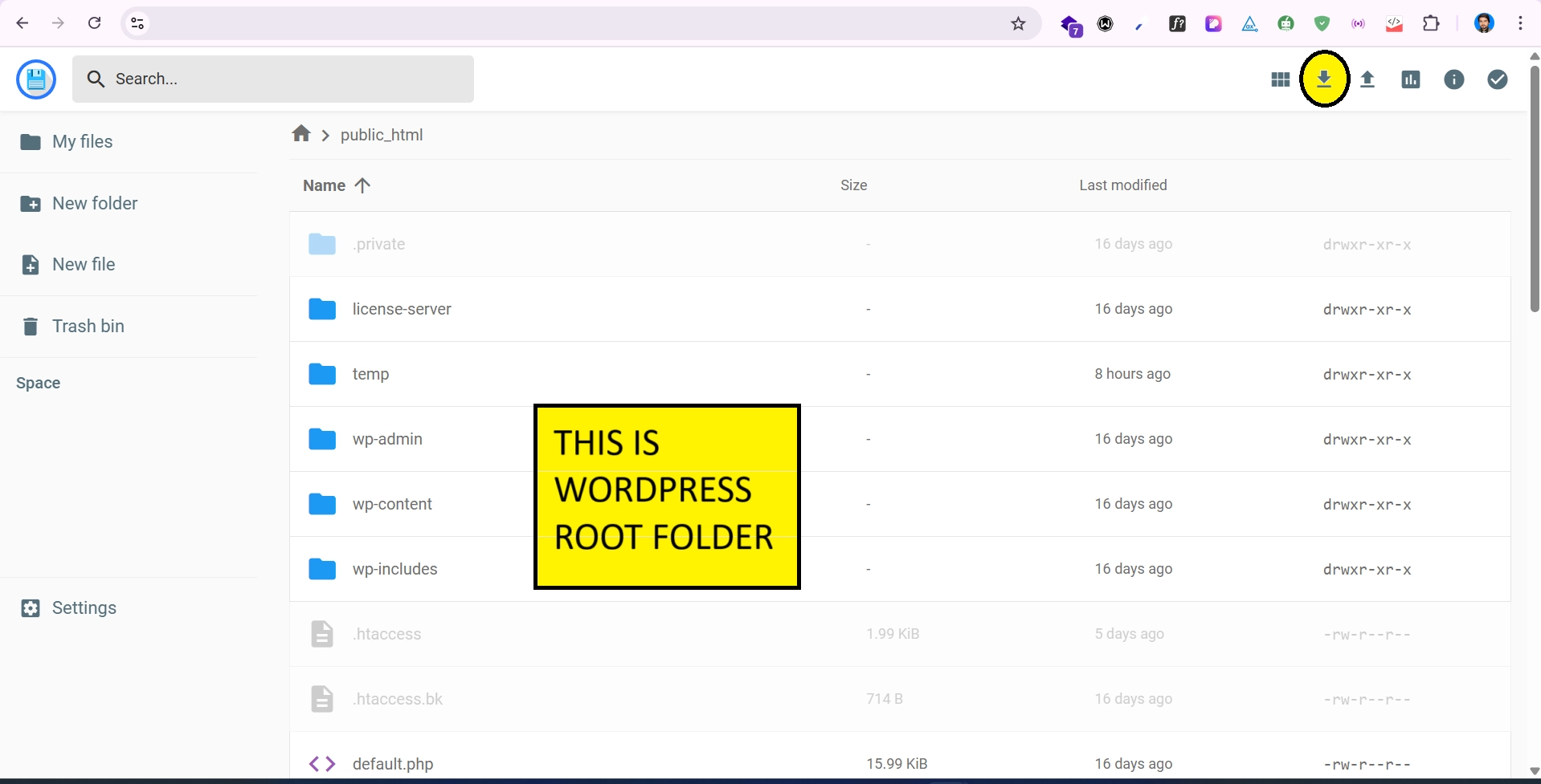 WordPress root folder - Turn Me Digital